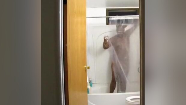 Cat Shower
