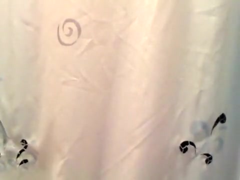 shower sequel