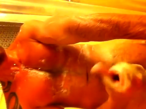 JmuscleGuy JO in his shower