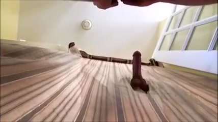 Me being sucked at a gloryhole