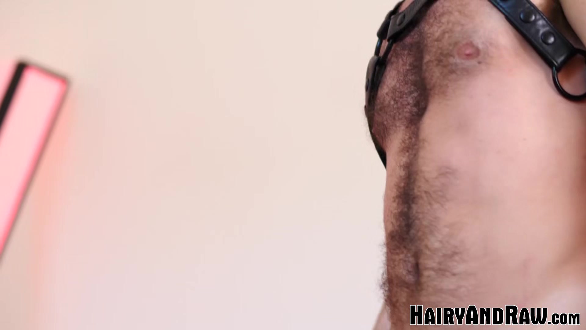 HAIRYANDRAW Hairy Hunk Parker Logan Raw Breeds Gay Alex Hawk
