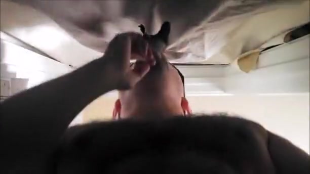 Military blow-underneath view two came 2x