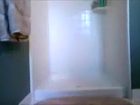 Bear Showering