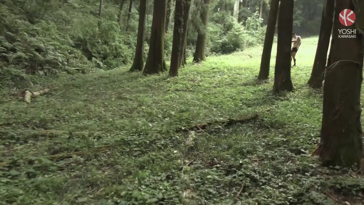 YoshiKawasakiXXX-IntotheWoods