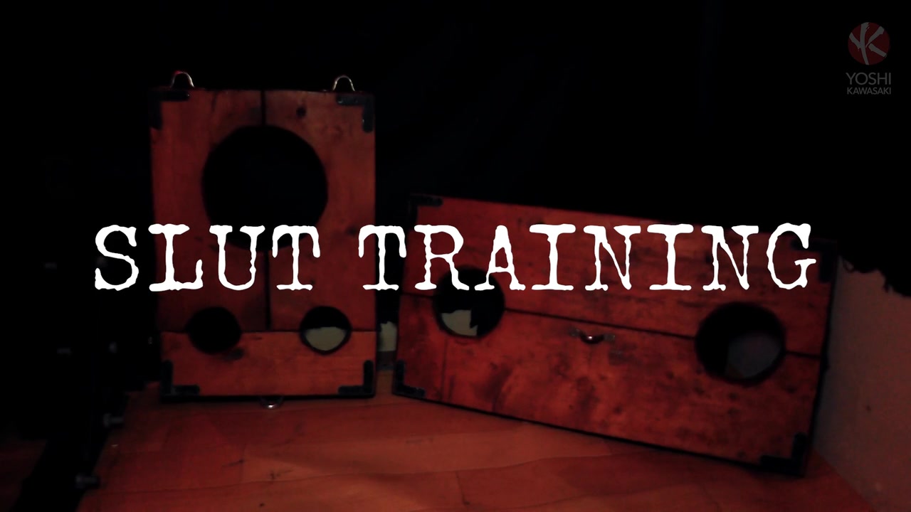 Slut Training