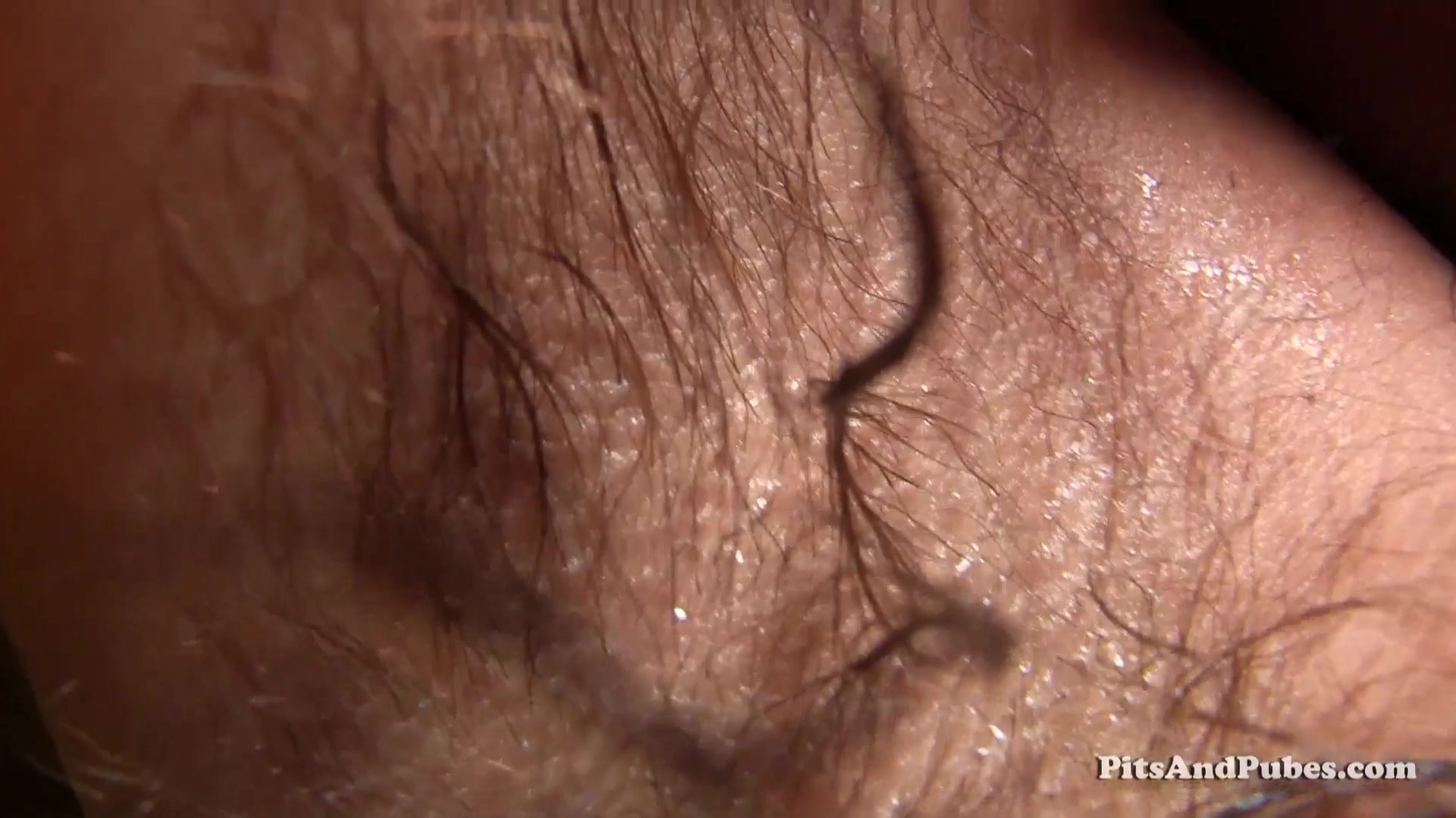 Hairy Uncut Bush
