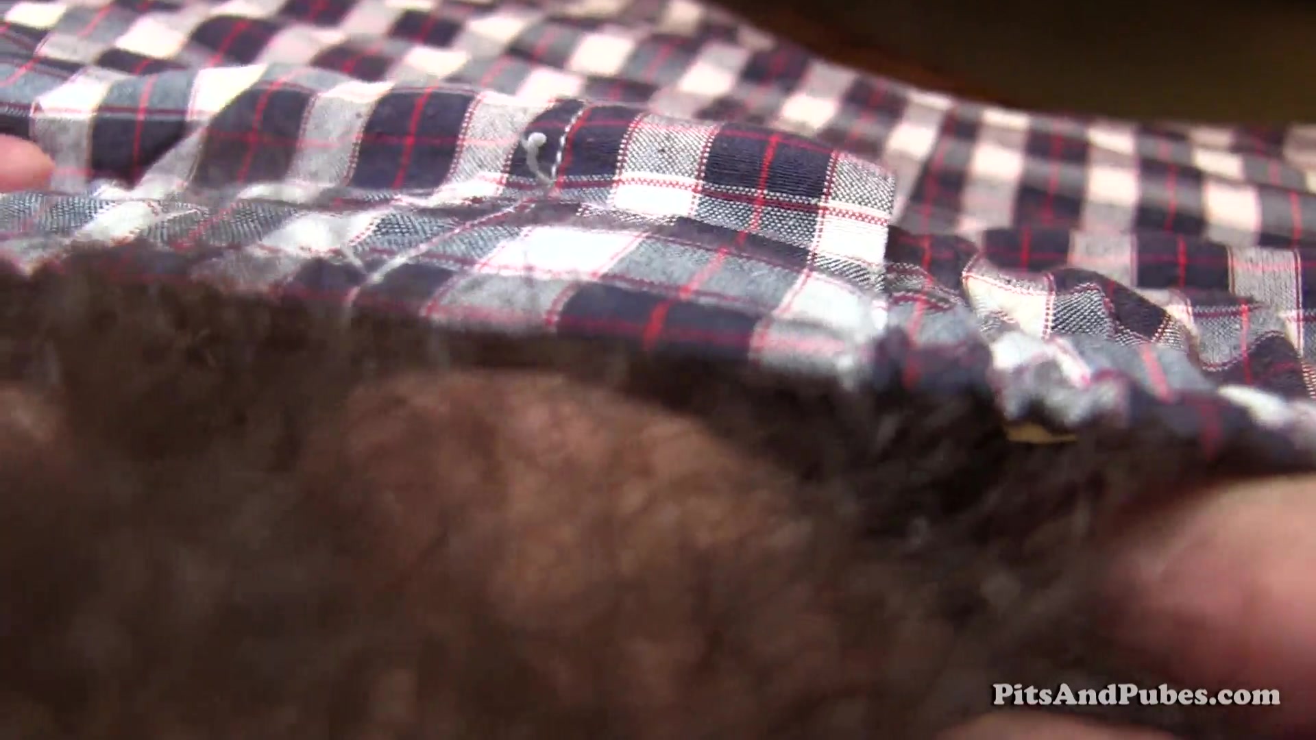 Hairy Uncut Bush
