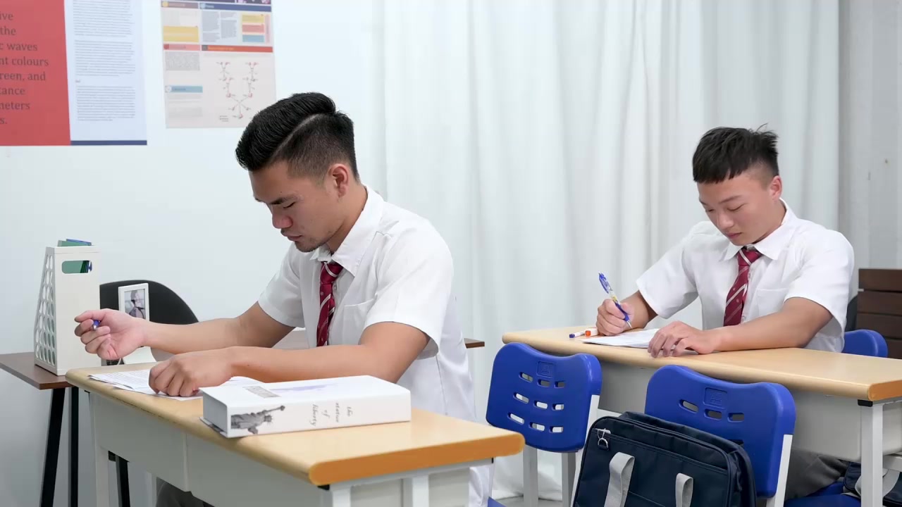 Wild Classroom 2: Test Studying