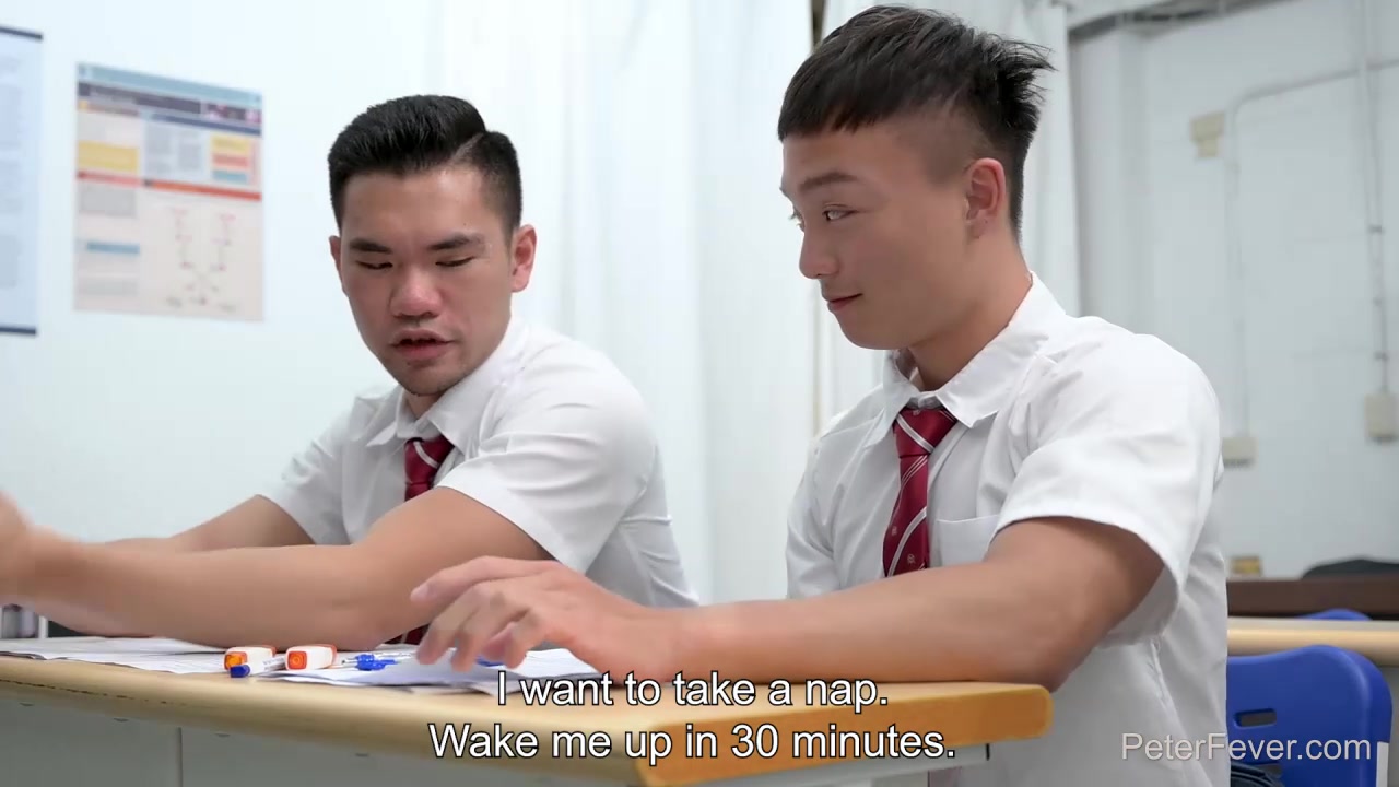 Wild Classroom 2: Test Studying