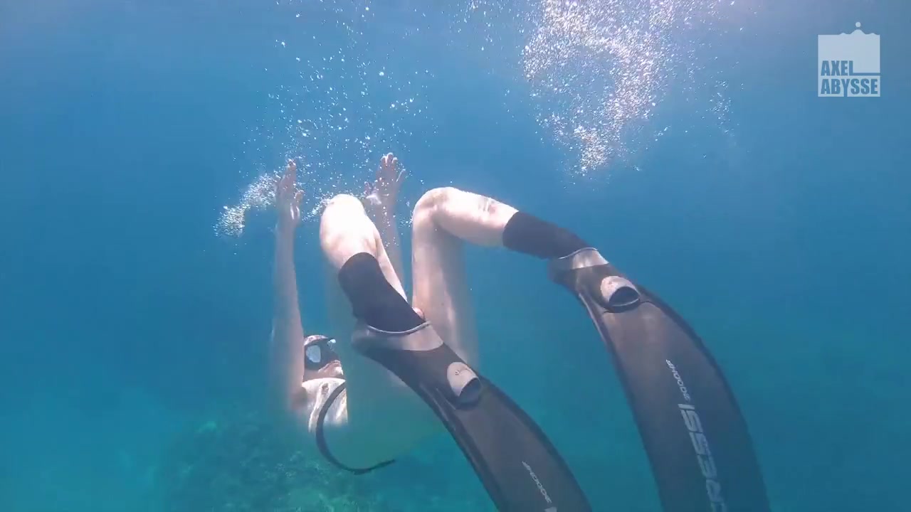 Freedive