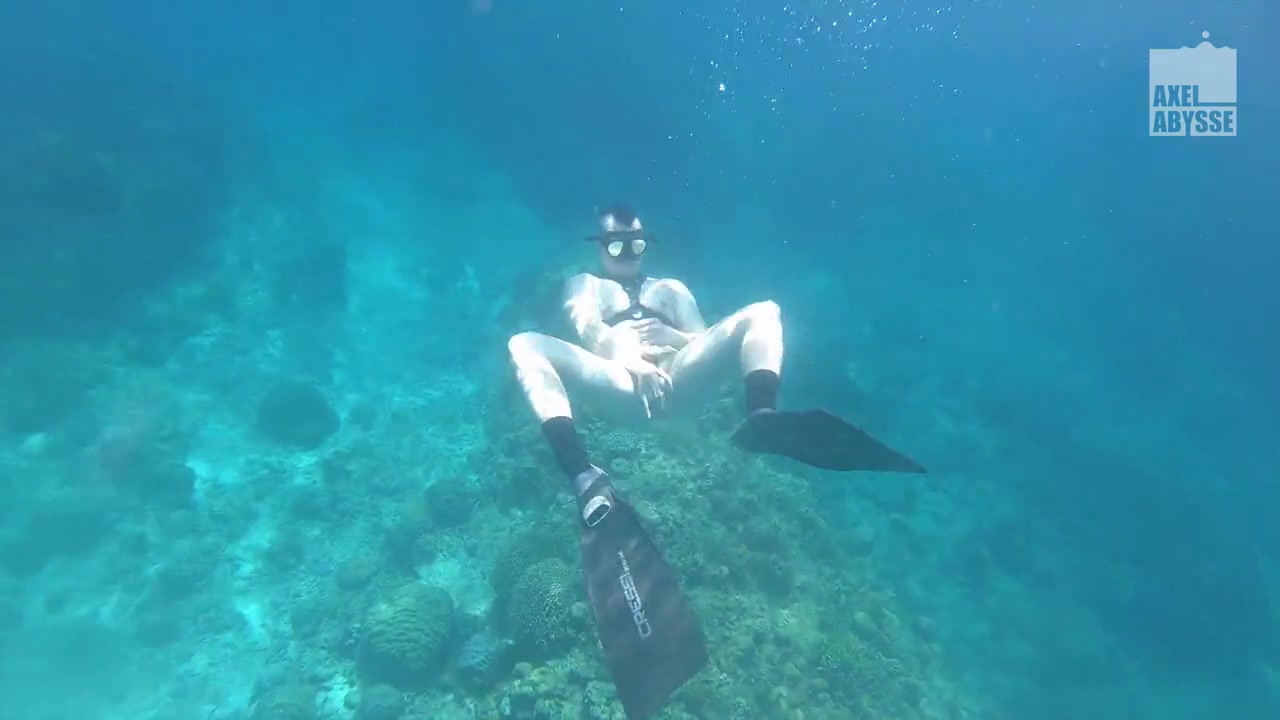 Freedive
