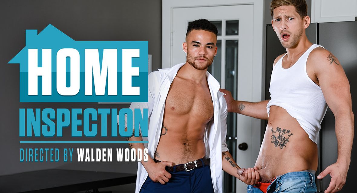 Roman Todd & Beaux Banks in Home Inspection