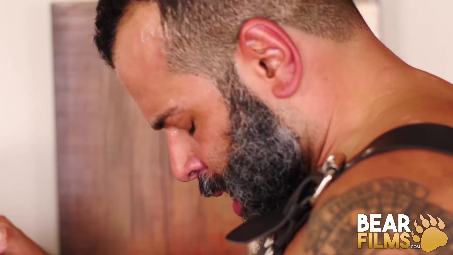 BEARFILMS Bears Sterling Johnson And Kurt Jacobs Bareback