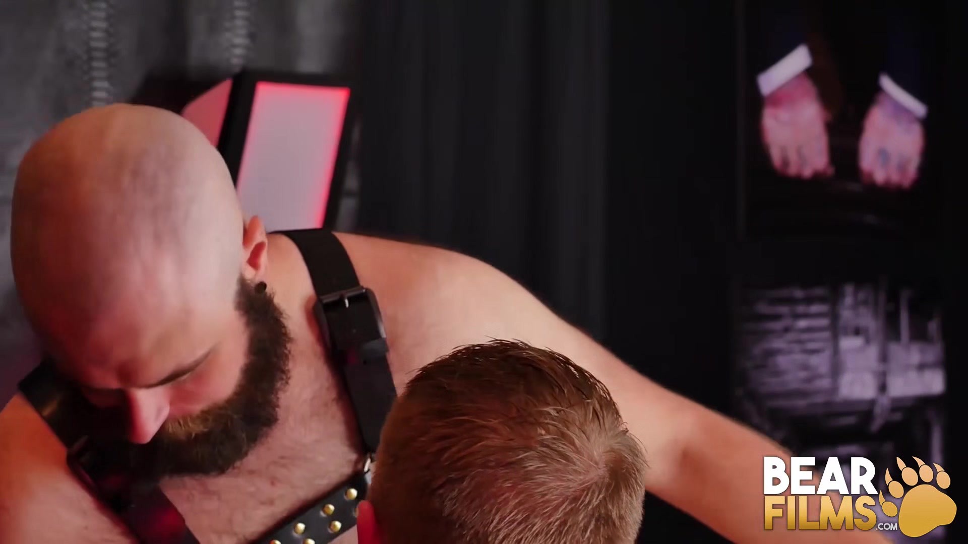 BEARFILMS Bearded Bear Dax Librastic Barebacks Harper Davis