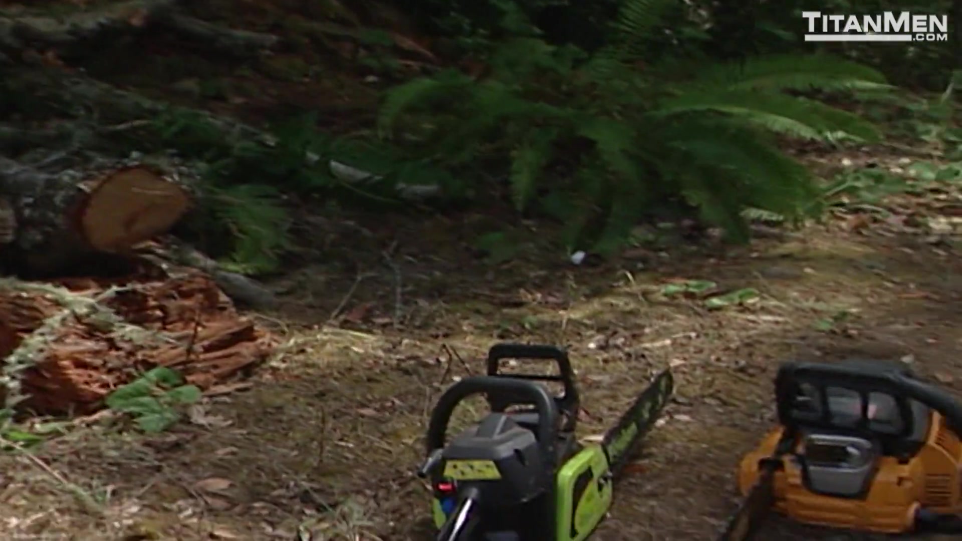 Chainsaw