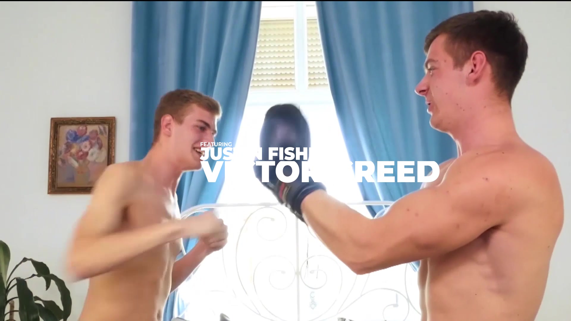 Boxing & Breeding