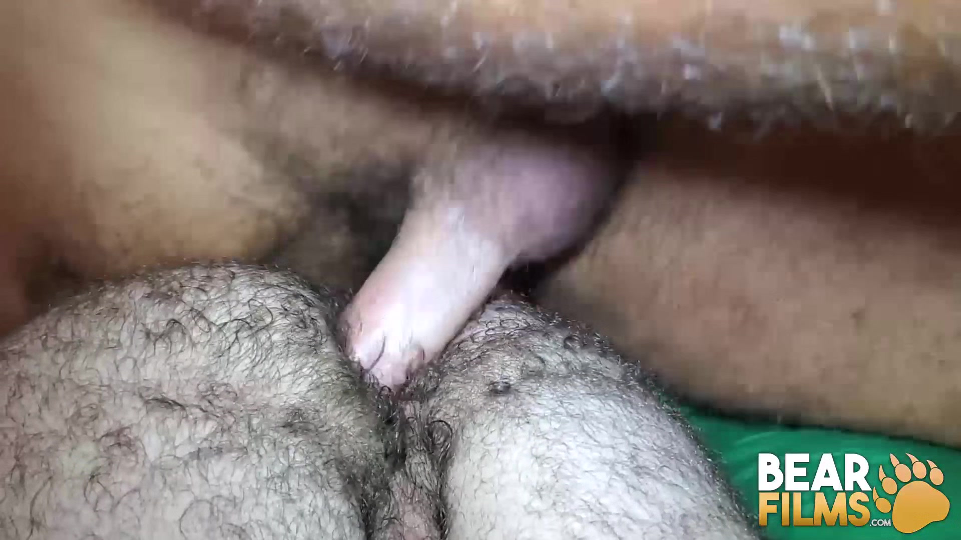 BEARFILMS Bear Ale Tedesco Barebacks Hairy Cub Rob Hairy