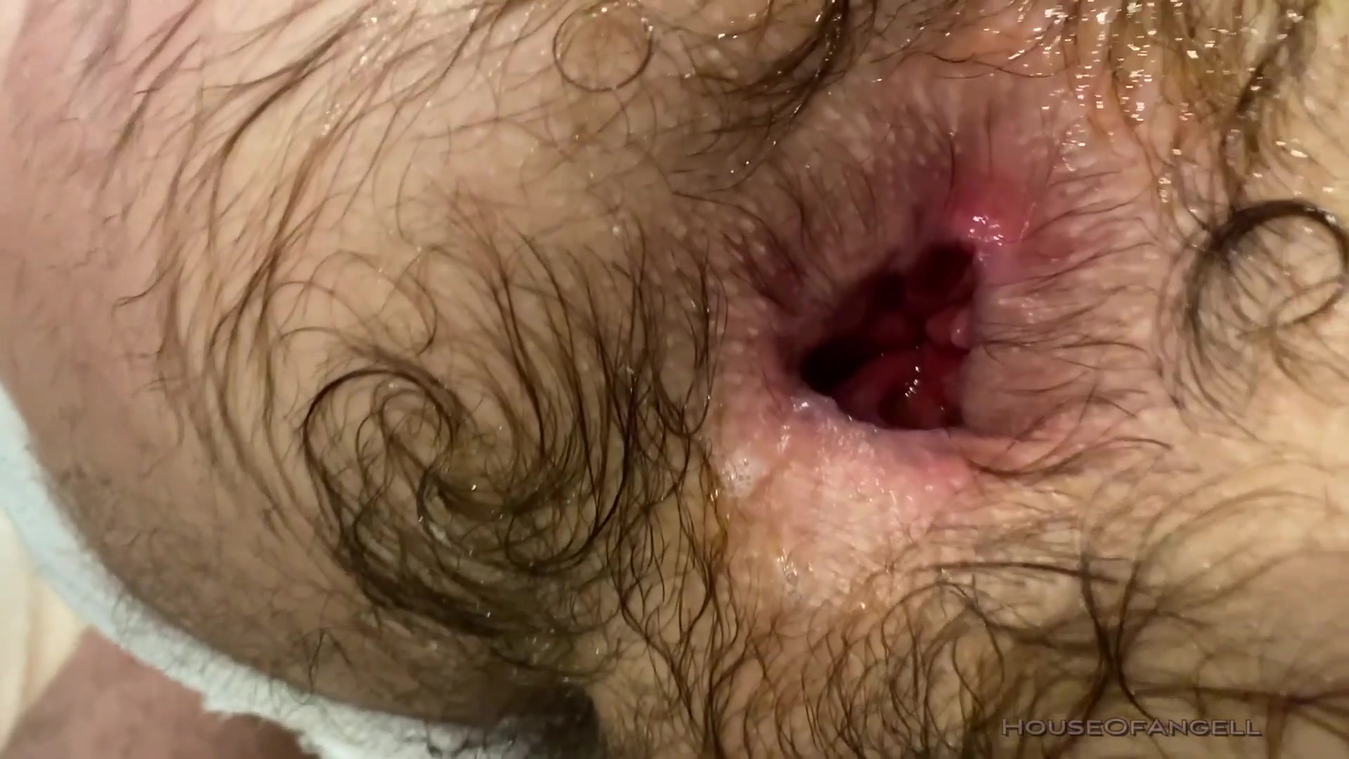 Muscle Bear Porn Trained To Gape