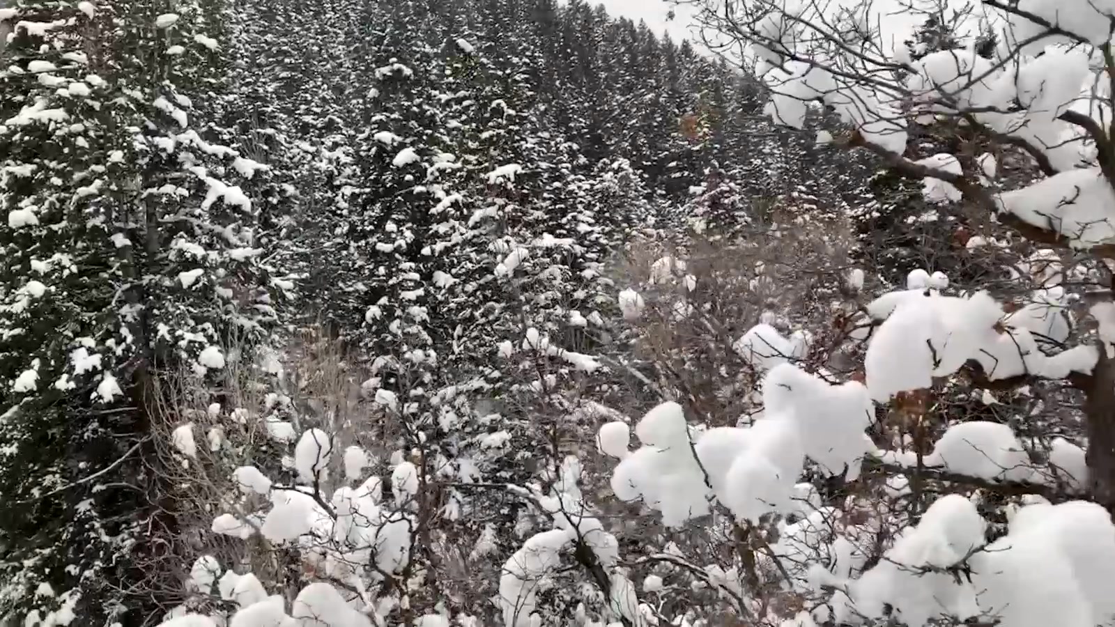 Maverick Men Fuck Me In The Snow