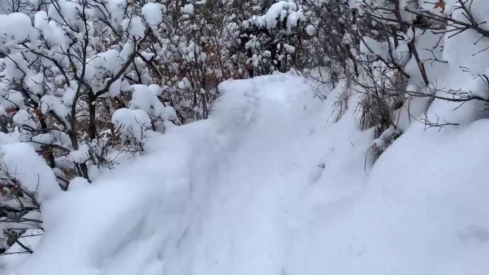 Maverick Men Fuck Me In The Snow