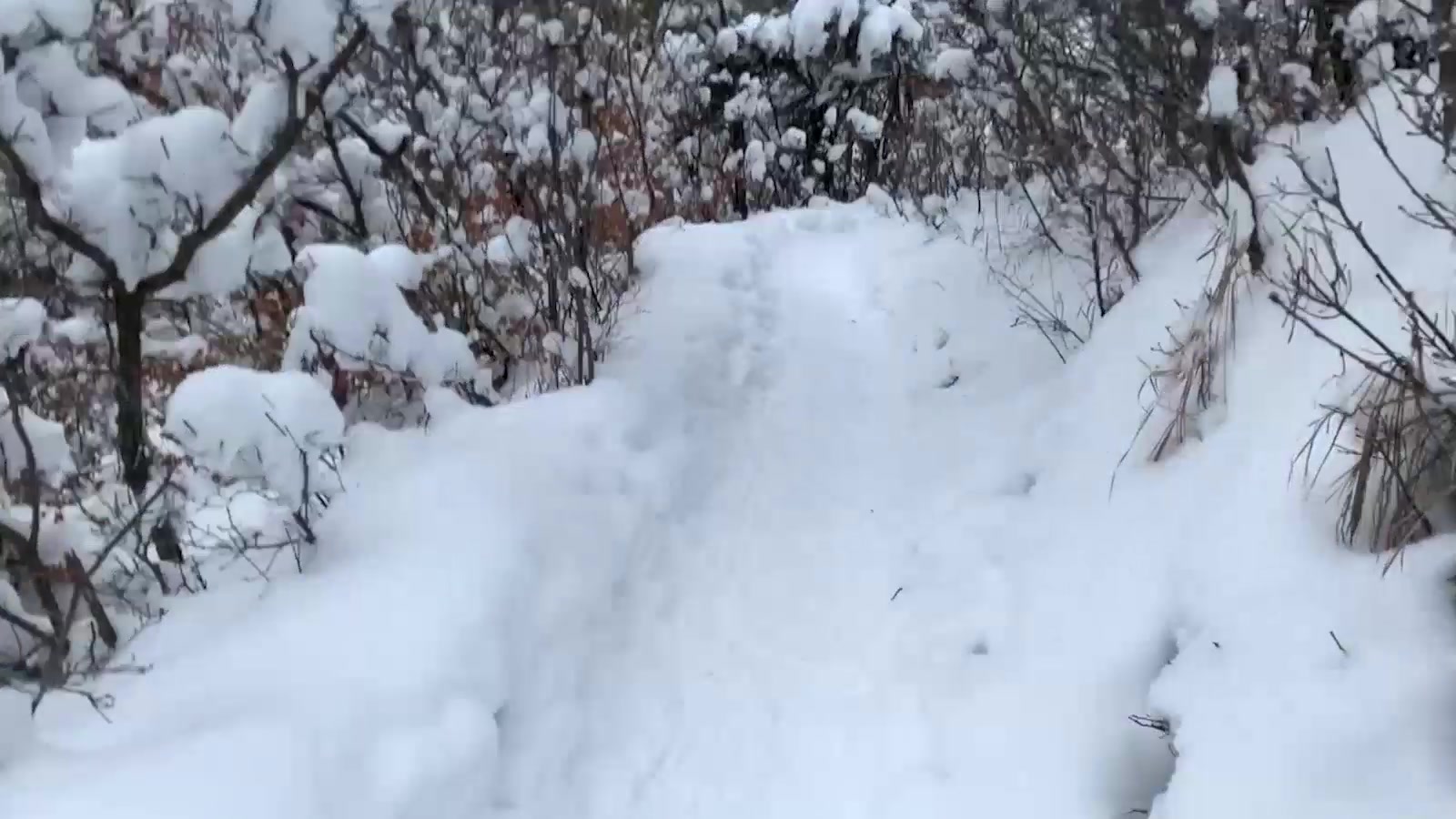 Maverick Men Fuck Me In The Snow