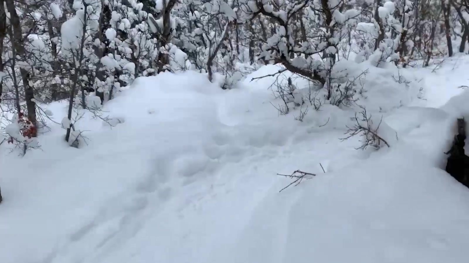 Maverick Men Fuck Me In The Snow