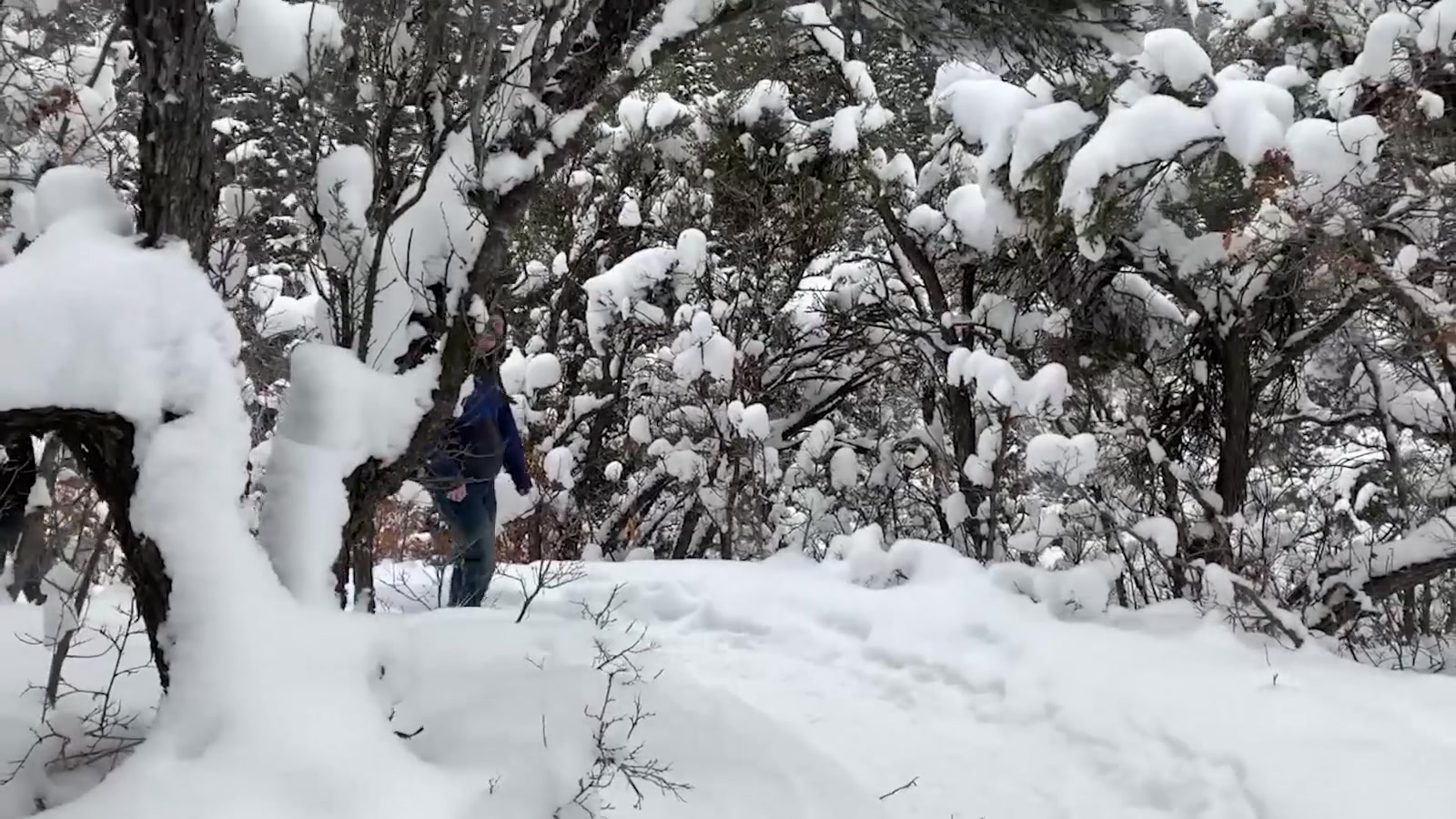 Maverick Men Fuck Me In The Snow