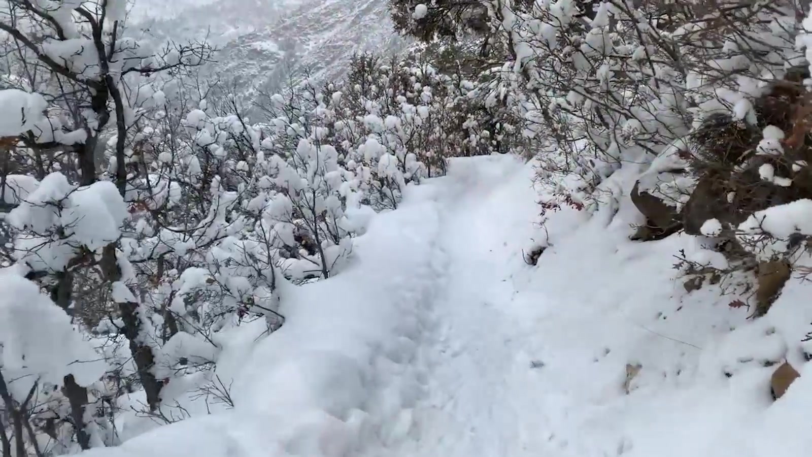 Maverick Men Fuck Me In The Snow