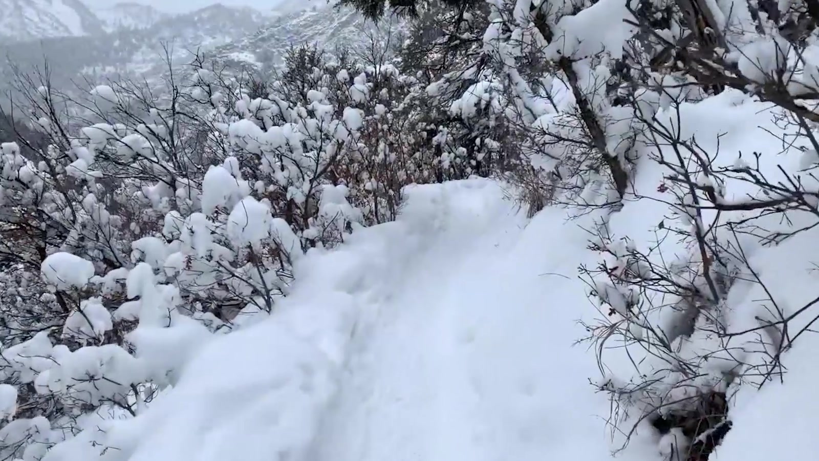 Maverick Men Fuck Me In The Snow