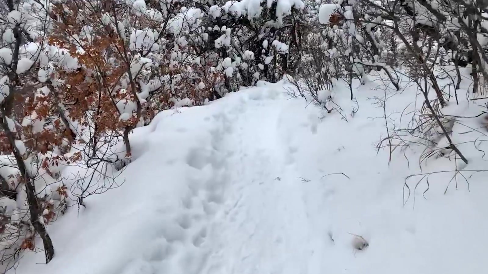 Maverick Men Fuck Me In The Snow