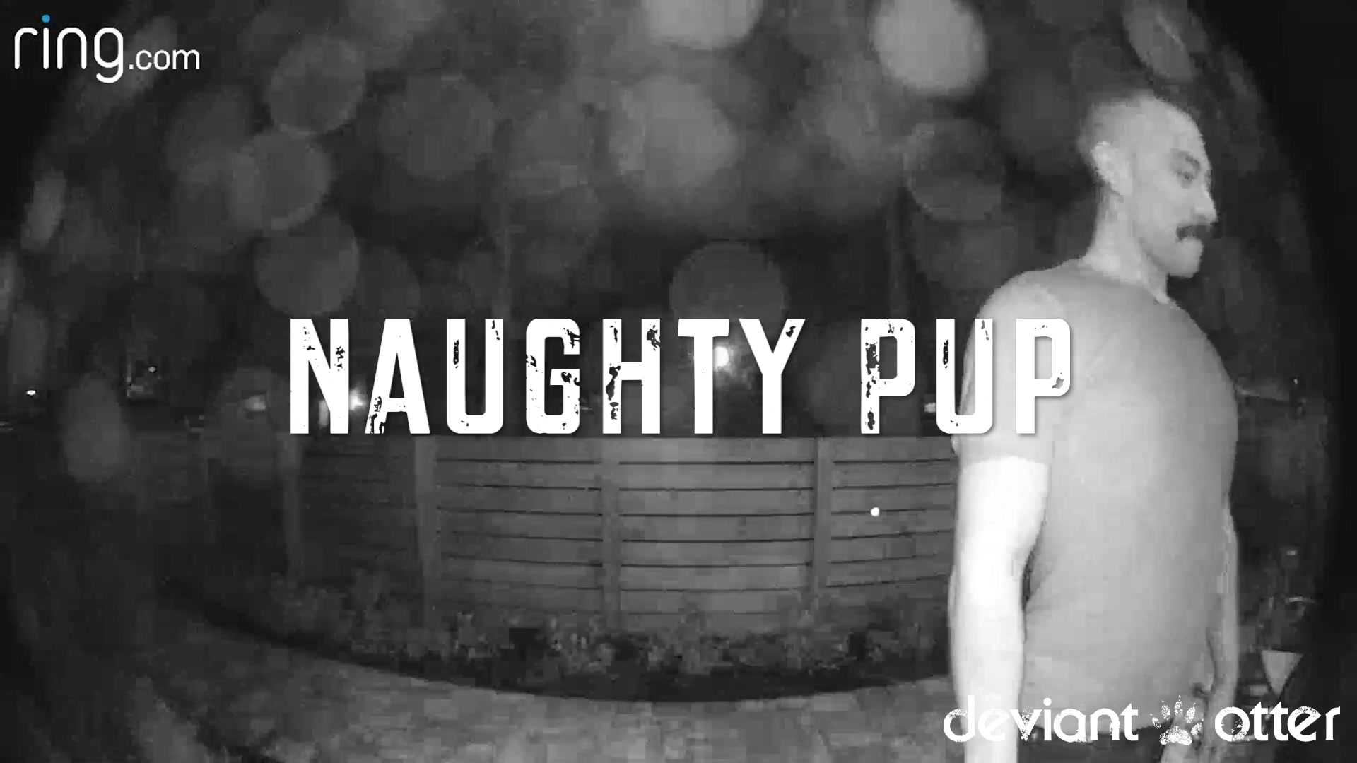 Deviant Otter Naughty Pup