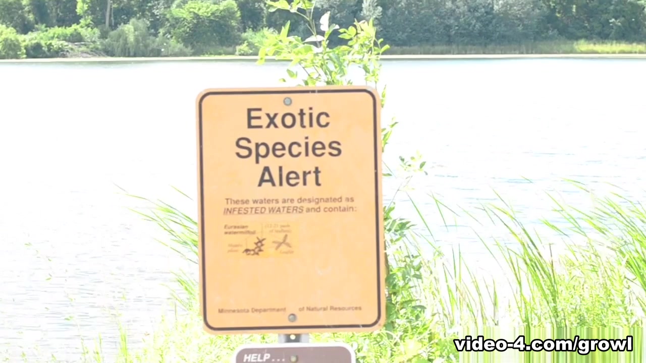 Exotic Species - Growlboys Gay Transformation Porn