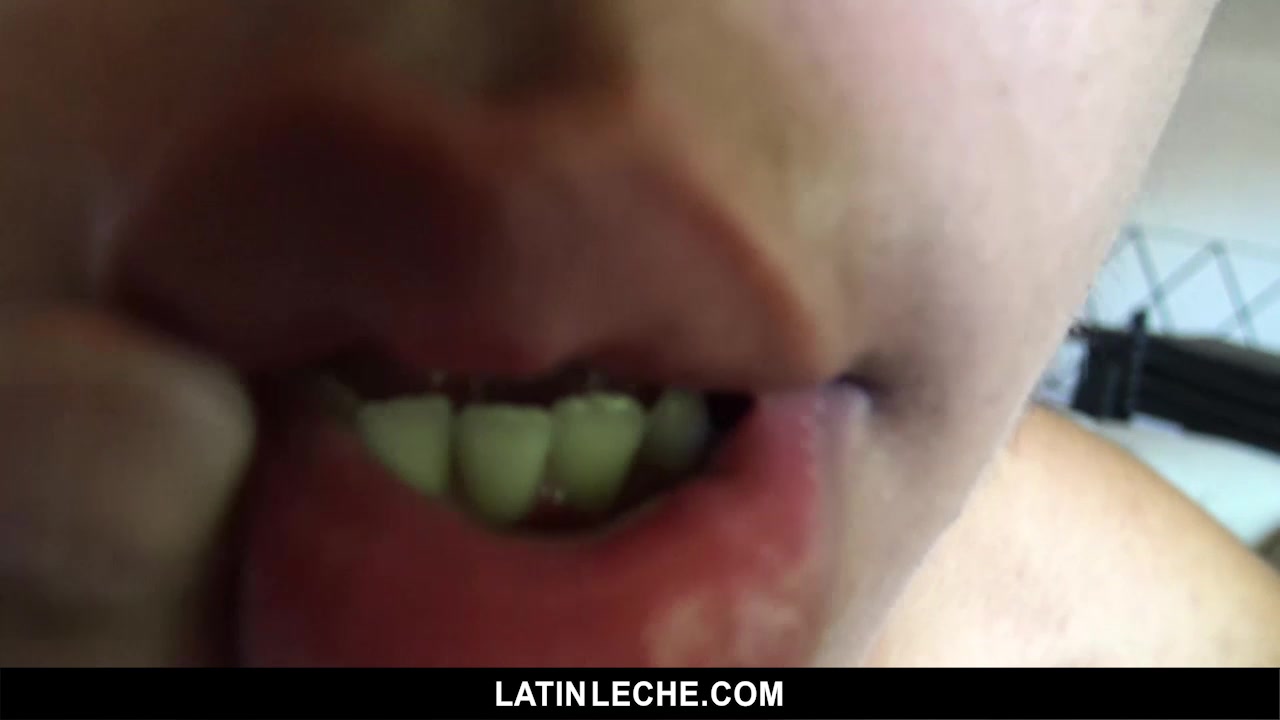 Numero 4 - LatinLeche