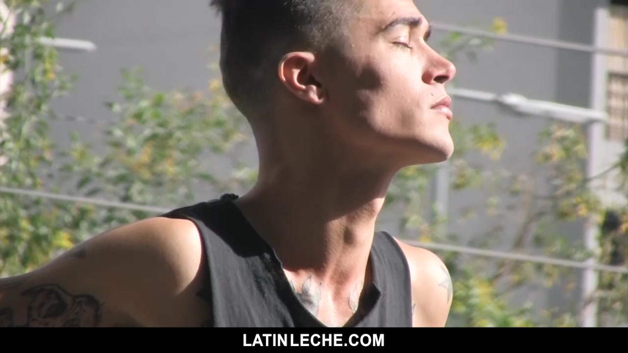 Numero 5 - LatinLeche