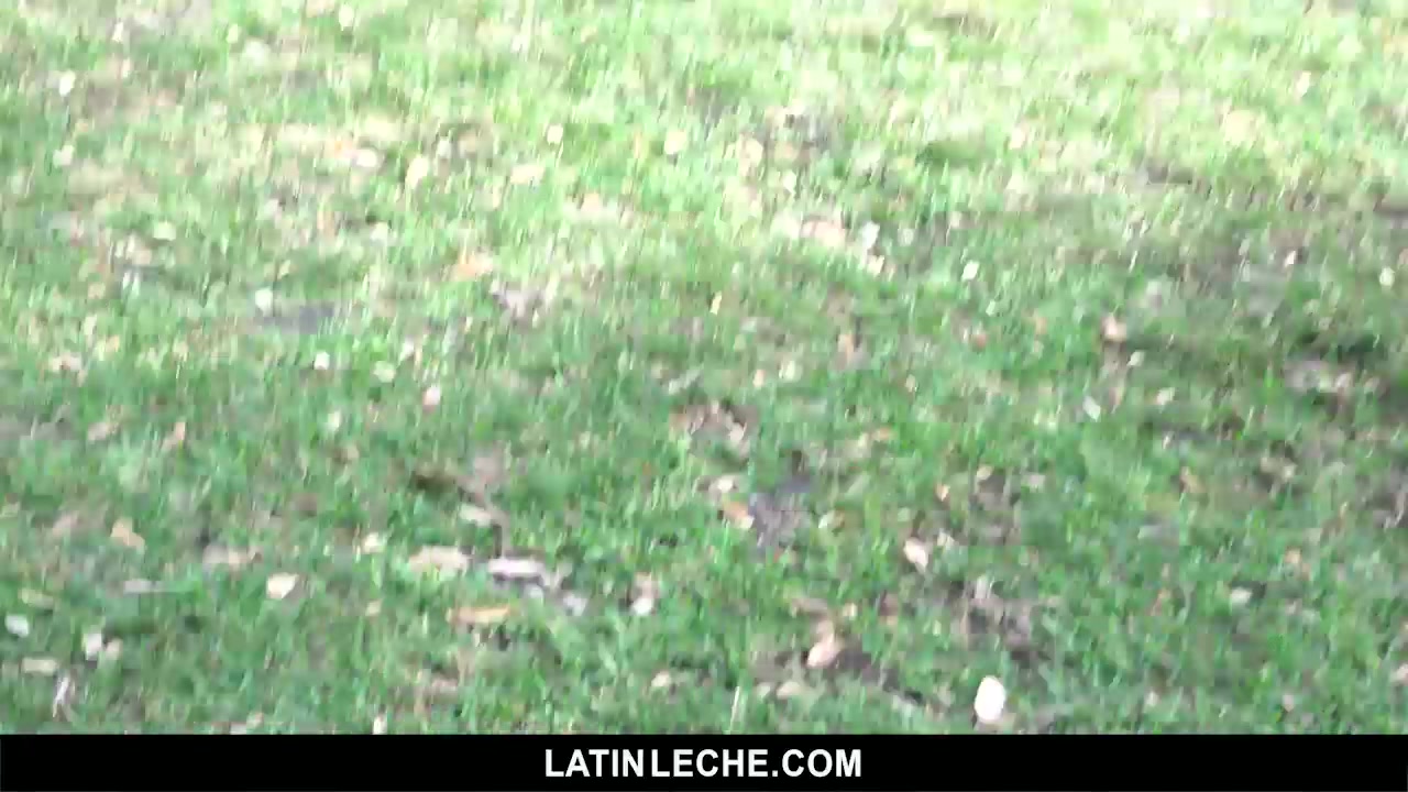 Numero 6 - LatinLeche