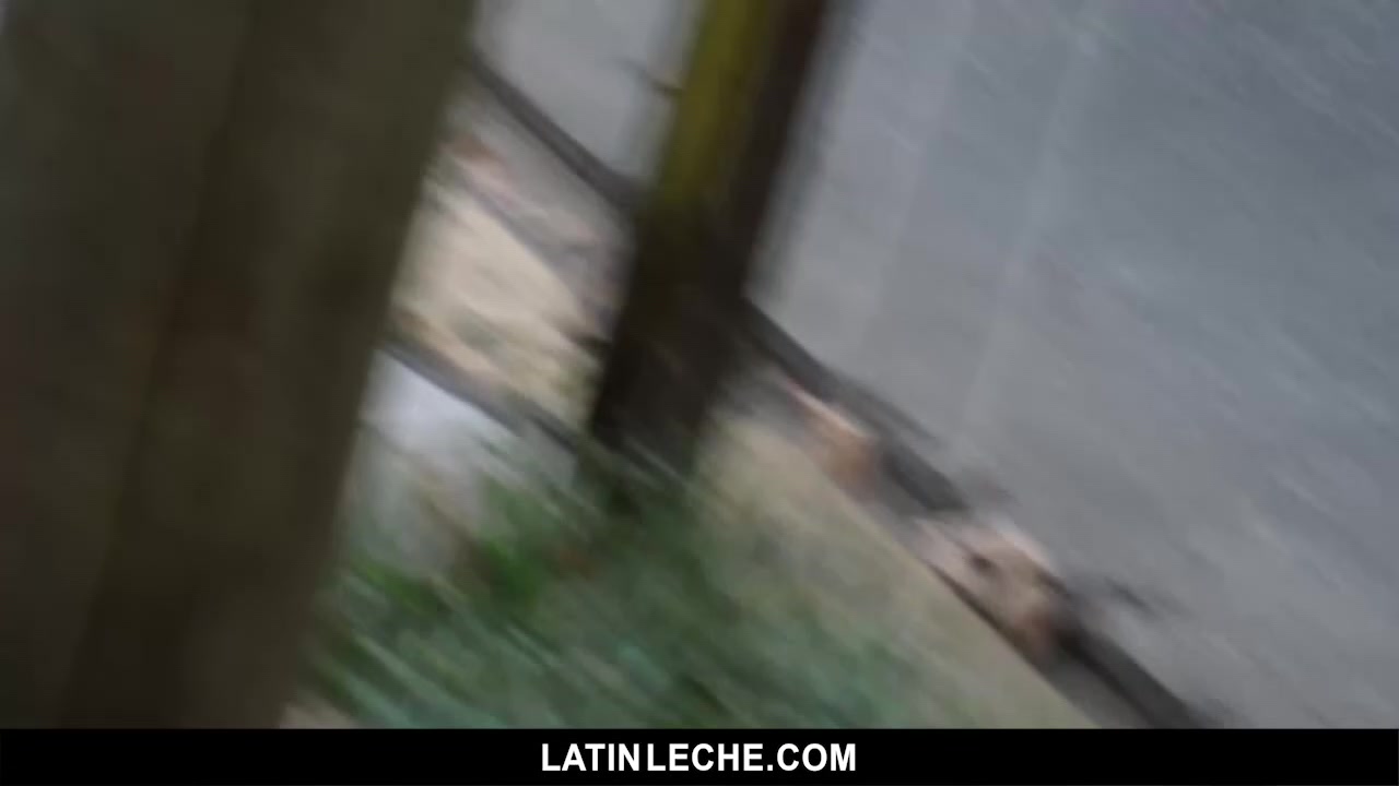 Numero 7 - LatinLeche