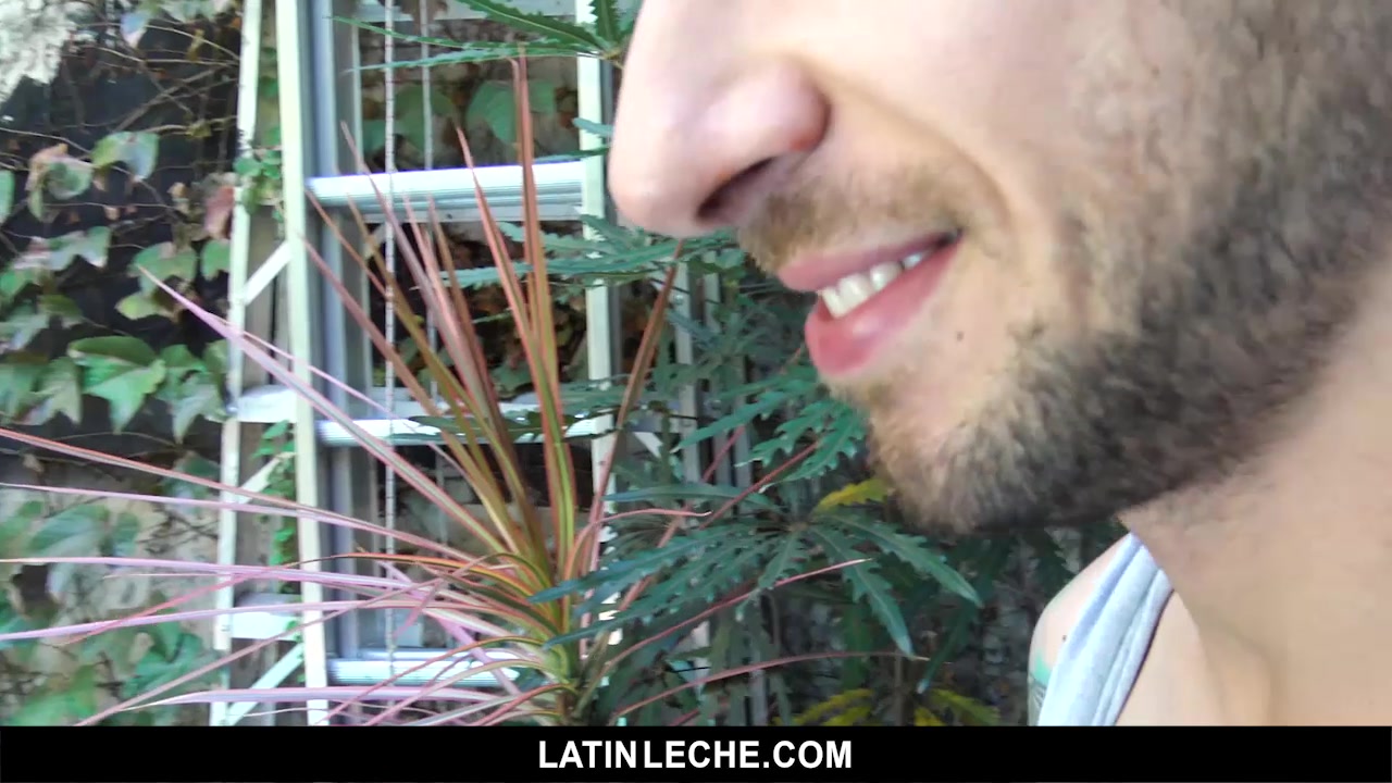Numero 16 - LatinLeche