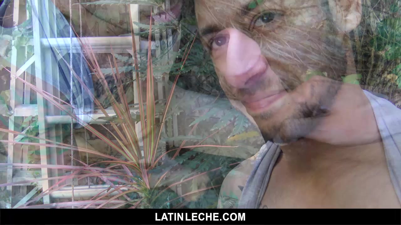Numero 16 - LatinLeche
