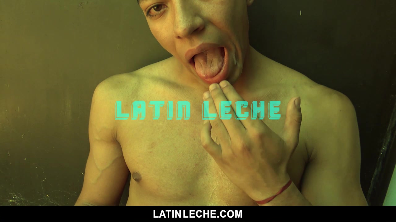 Numero 16 - LatinLeche