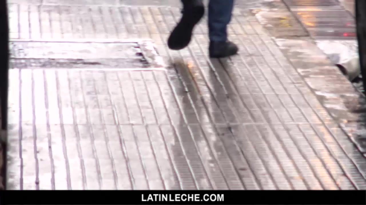 Numero 21 - LatinLeche