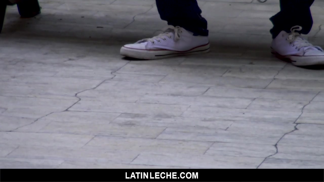 Numero 29 - LatinLeche