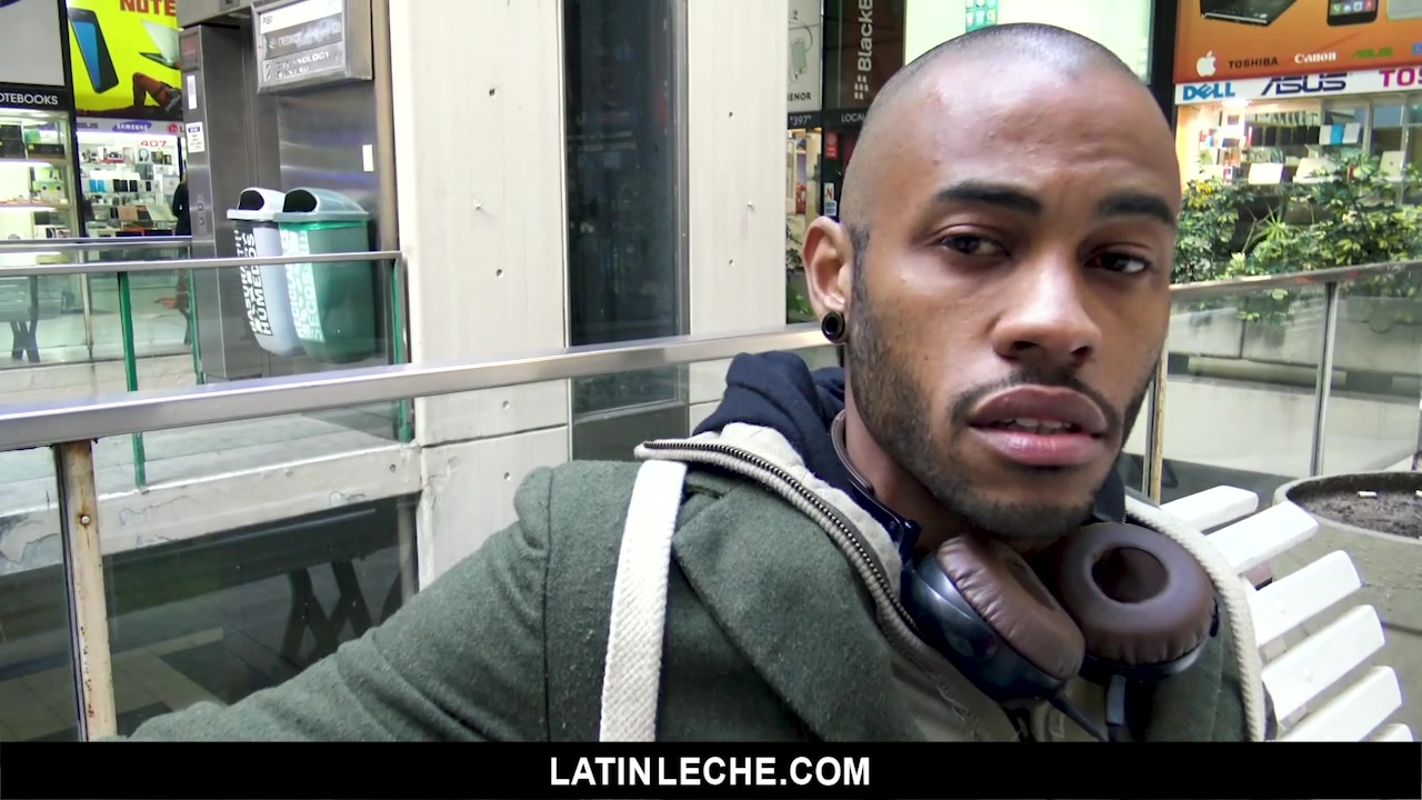 Numero 29 - LatinLeche