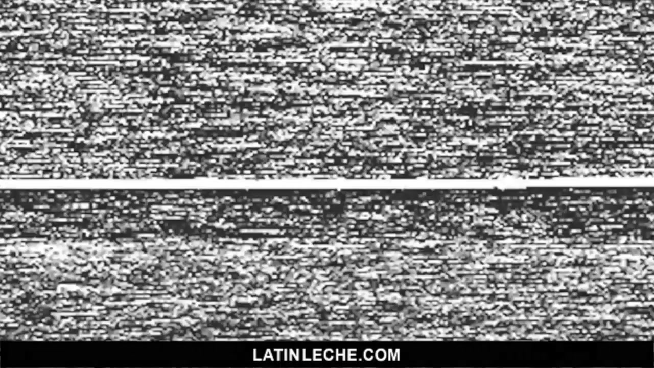 Numero 33 - LatinLeche