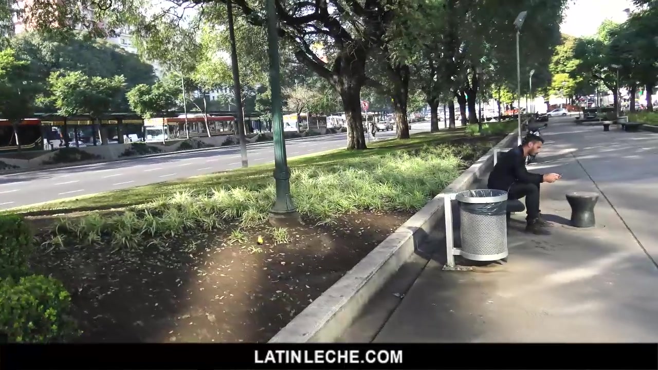 Numero 36 - LatinLeche