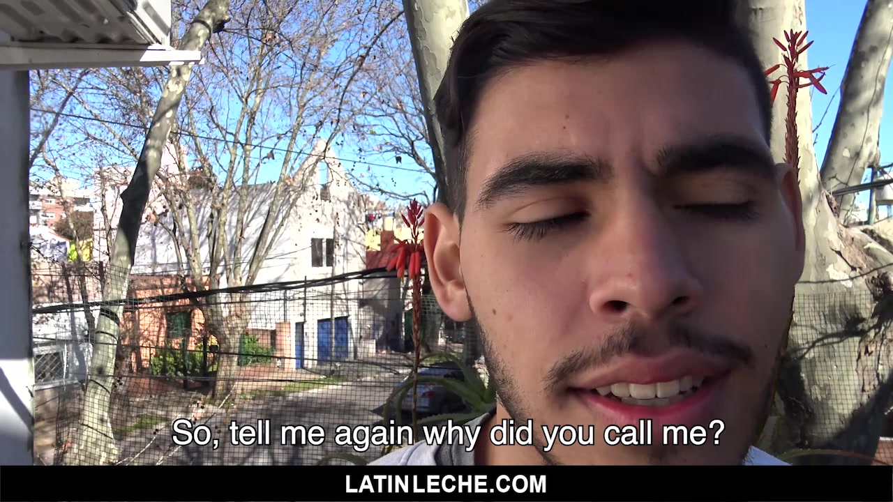 Numero 37 - LatinLeche