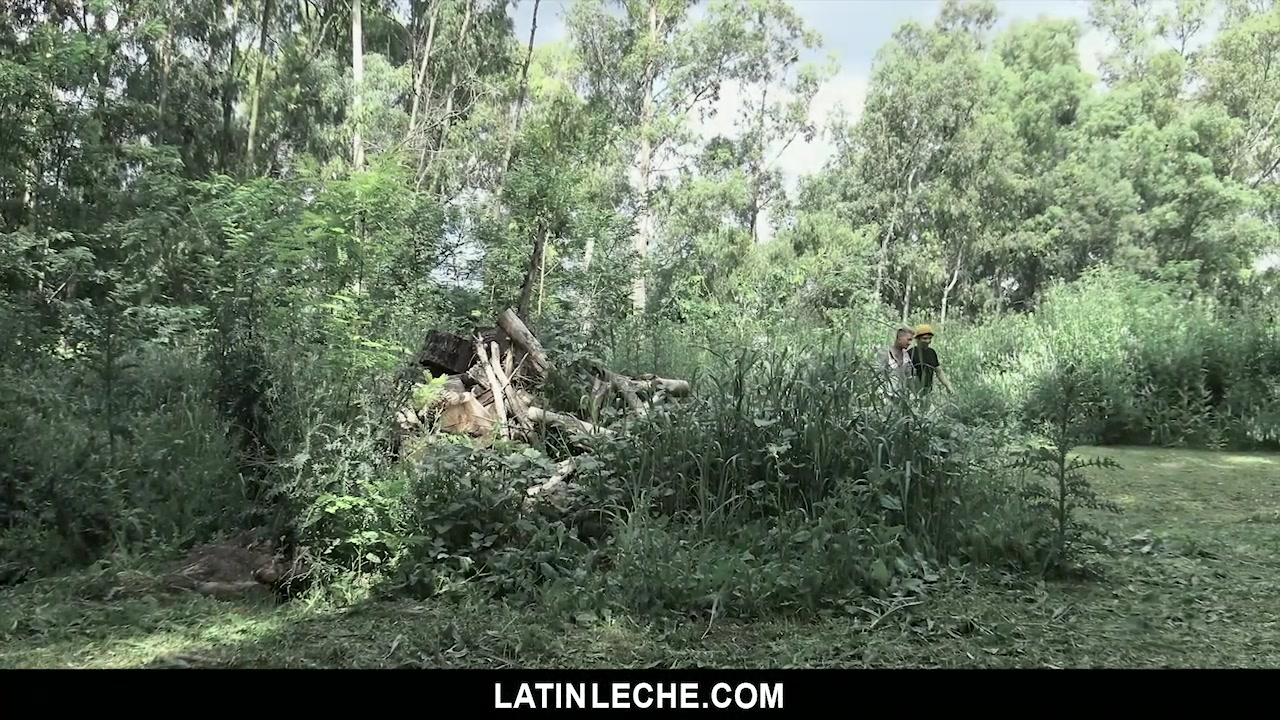 Numero 74: Cruising For Loads IV - LatinLeche