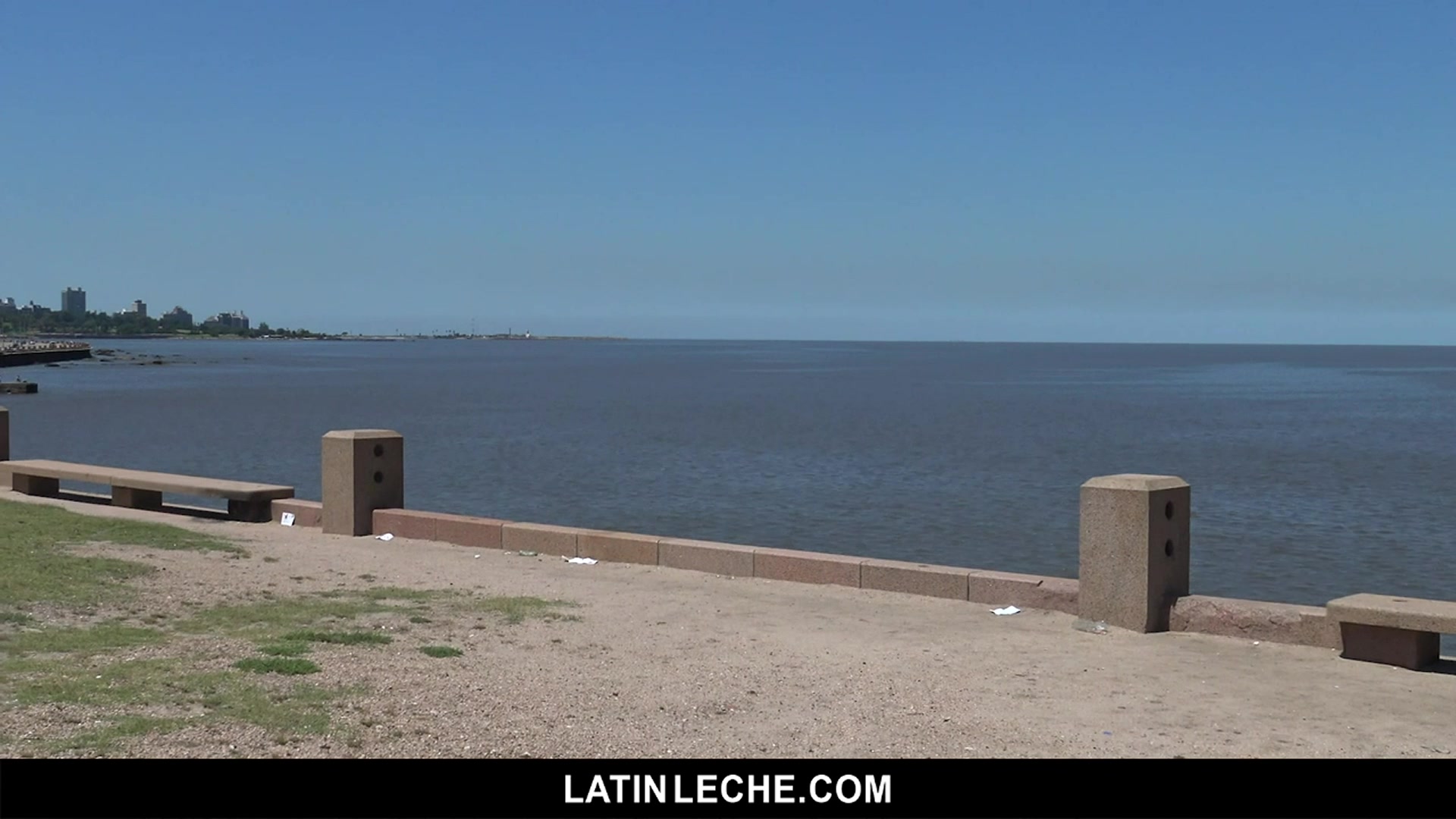 Numero 93 - LatinLeche