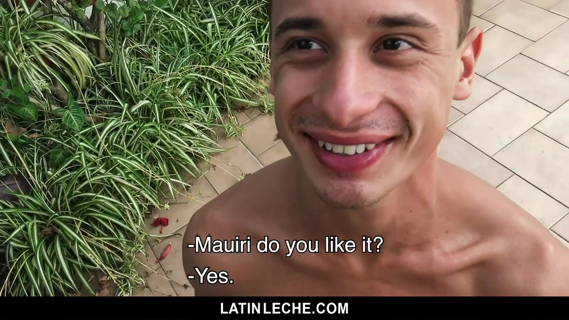 Numero 97 - LatinLeche