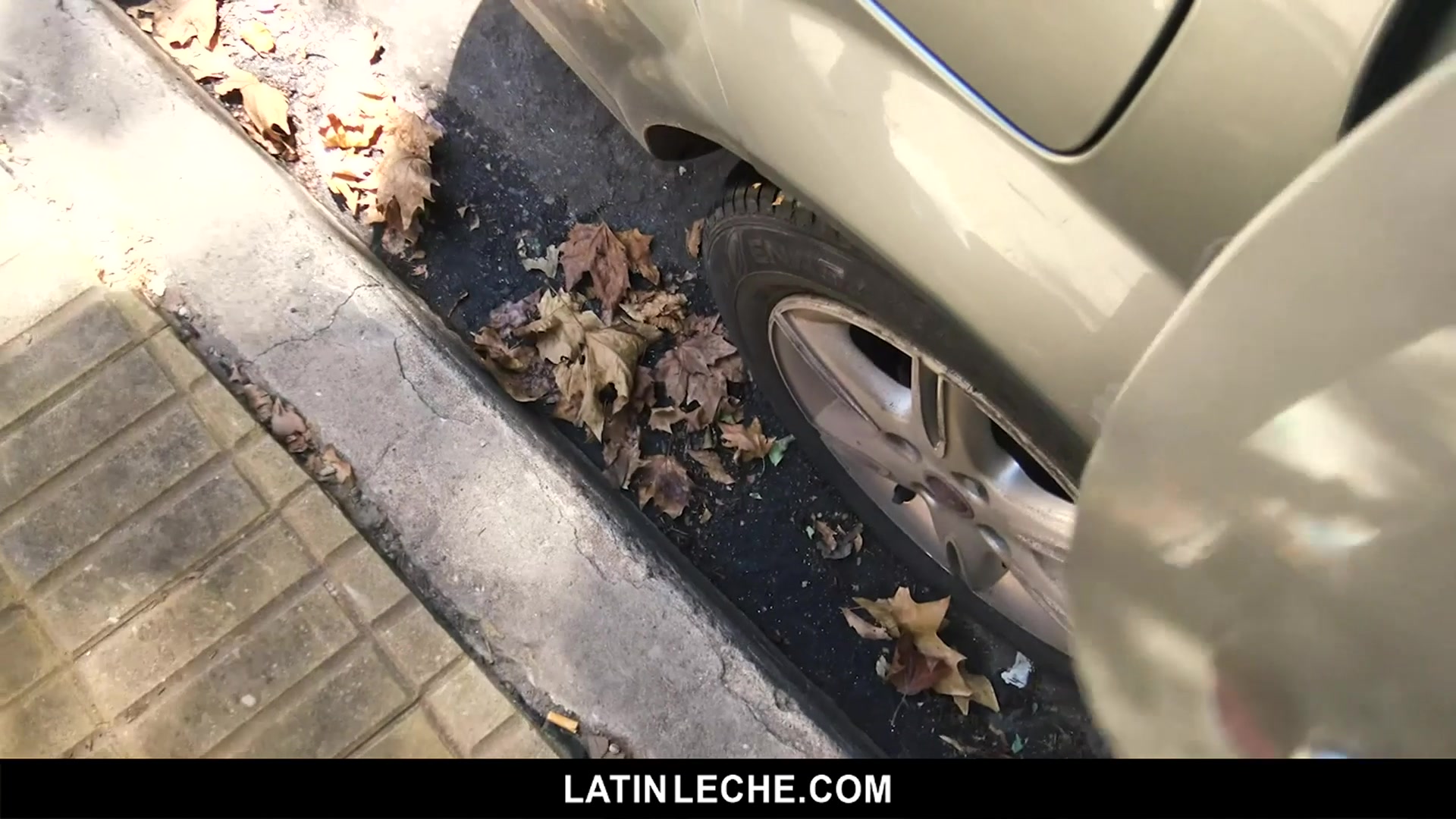 Numero 97 - LatinLeche