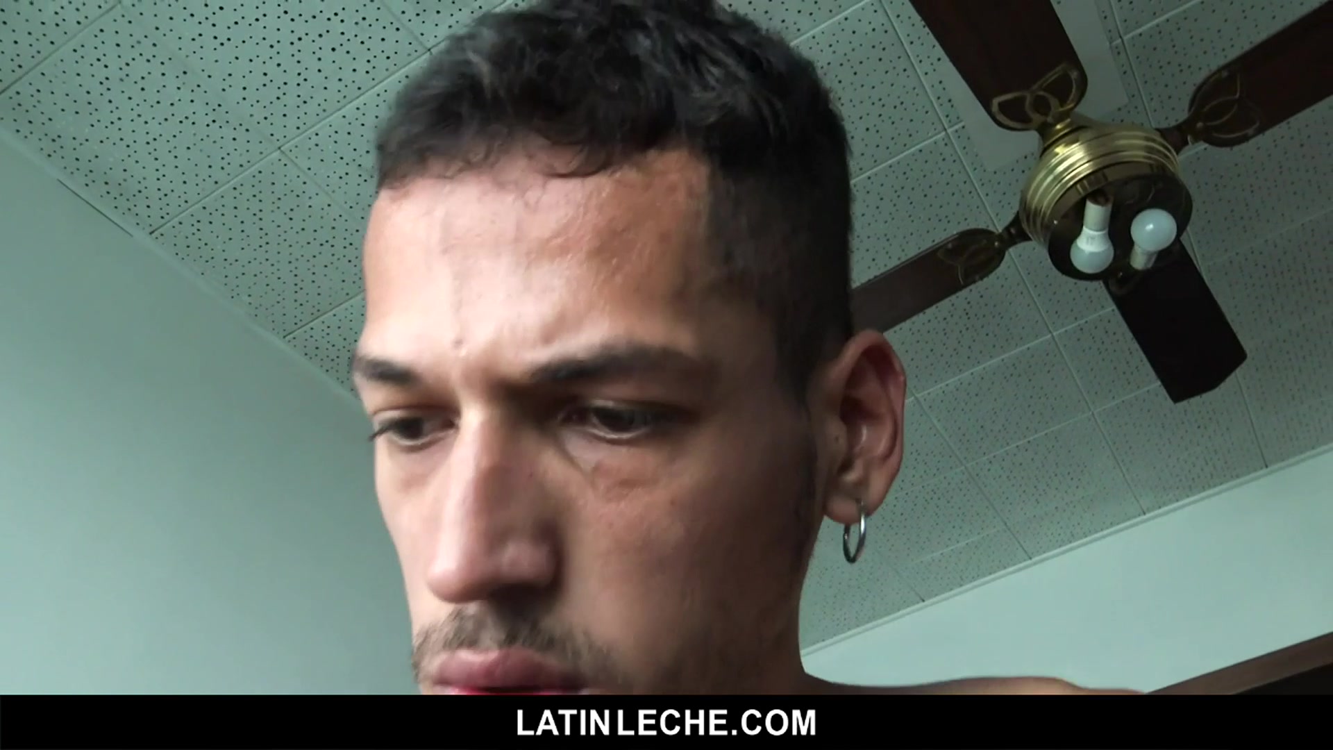 Numero 98 - LatinLeche